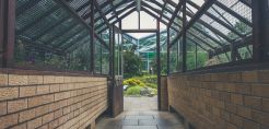 Η πράσινη ανάπτυξη μέσω των θερμοκηπίων ΜED Greenhouses