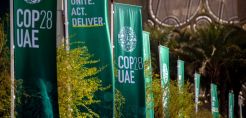 COP28: Ασαφείς διατυπώσεις, ενώ χάνεται πολύτιμος χρόνος