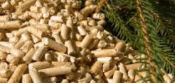 Παραγωγή pellets στην Ελλάδα και διαθέσιμη πρώτη ύλη από την δασική βιομάζα