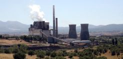 Υπάλληλος καλλιεργούσε στα ορυχεία της ΔΕΗ ινδική κάνναβη