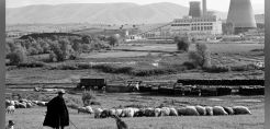 Ιστορία /Αύγουστος του 1950: Οταν η ΔΕΗ μπήκε στην… πρίζα