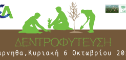 Δενδροφύτευση στην Πάρνηθα στις 6 Οκτωβρίου