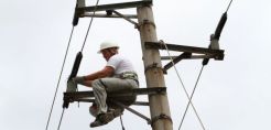 10.000 εμποτισμένους ξύλινους στύλους προμηθεύεται ο ΔΕΔΔΗΕ