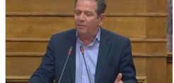 Μ. Δημητριάδης: Χρειάζεται ένα αναπτυξιακό ισοδύναμο σχέδιο για τις λιγνιτικές περιοχές