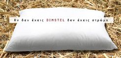 Χρυσός χορηγός στο DO-IT-ECO PROJECT η Dimstel