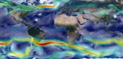 Αν δεν μειωθούν οι εκπομπές CO2 θα χαθεί το 17% των θαλάσσιων ζώων μέχρι το 2100