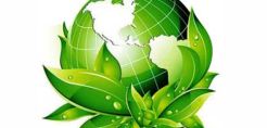 Τα everest βραβεύονται ως “eco-friendly franchise”