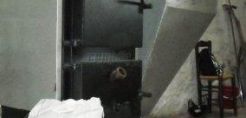 Πυρηνόξυλο, ένα αποδοτικό και οικονομικό καύσιμο θέρμανσης