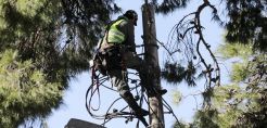 3 νέες προκηρύξεις για προσλήψεις στο ΔΕΔΔΗΕ