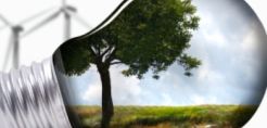 Παραγωγή ηλεκτρικής ενέργειας από ελαιόλαδο
