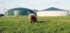 Νέα μονάδα βιοαερίου από την Envitec Biogas στη Νέα Υόρκη