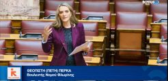Πέρκα: Άνθρακες ο θησαυρός: Οι επενδύσεις ενόψει απολιγνιτοποίησης ήταν  ενδεικτικά σενάρια και υποθέσεις εργασίας