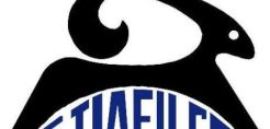 Επίλεκτος: Αγορά 4.324 ιδίων μετοχών