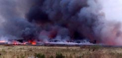 Η φωτιά στον Ασπρόπυργο ξεκίνησε από τη... Βουλγαρία