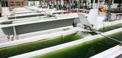 Ένα βήμα πιο κοντά στα εμπορικά αξιοποιήσιμα συνθετικά καύσιμα