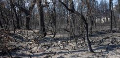 Μάχη με το χρόνο θα δώσει η ΔΕΗ στην Εύβοια – Τα αντιπλημμυρικά έργα που αναλαμβάνει
