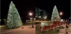 Σκιάθος: Ανάβει το πιο «πράσινο» δέντρο της Ελλάδας – 60.000 λαμπάκια με φωτοβολταϊκά