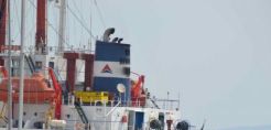 Φορτηγό πλοίο "βρήκε" σε υποθαλάσσιο καλώδιο της ΔΕΗ – Μηνύσεις στην εταιρεία που ανήκει