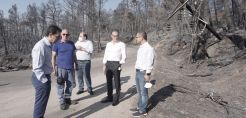 ΔΕΔΔΗΕ: Πρόοδος στην πορεία αποκατάστασης των ζημιών στις περιοχές των πυρκαγιών