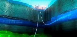 [node:title]