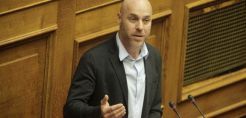 Ελληνική ξυλεία για τους στύλους της ΔΕΗ ζητά ο Αμυράς - Ερώτηση προς τον Υπουργό ΠΕΝ