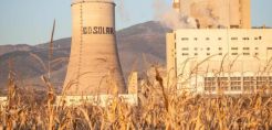 Συνελήφθησαν και οι 10 ακτιβιστές της Greenpeace που "κατέλαβαν" τον ΑΗΣ Αγ. Δημητρίου