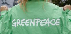 Έρευνα Greenpeace: Οι πολίτες της χώρας θέλουν εξοικονόμηση ενέργειας και ΑΠΕ για να βγούμε από την ενεργειακή κρίση