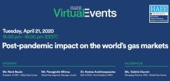 Πραγματοποιήθηκε το 1ο Virtual Event της HAEE για τις αγορές φυσικού αερίου και LNG (βίντεο)