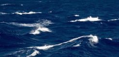 Σε 50 χρόνια τετραπλασιάσθηκαν οι ωκεανοί και δεκαπλασιάσθηκαν οι κλειστές θάλασσες χωρίς οξυγόνο