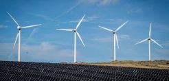EDP Renewables: Συνδέει στο δίκτυο το πρώτο υβριδικό έργο ΑΠΕ της Ισπανίας