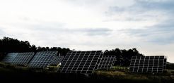 Πράσινο φως σε ΔΕΗ Ανανεώσιμες και RWE για το φωτοβολταϊκό στο Αμύνταιο