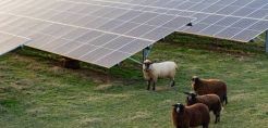 Εκπαιδευτική Δράση για τις Ανανεώσιμες Πηγές Ενέργειας από τη MORE σε 40 Σχολεία της Εύβοιας, της Κοζάνης και της Μονεμβασιάς  