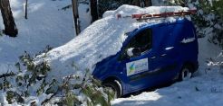 Επιστολή εργαζομένων ΔΕΗ από 12/2: Κάντε τον απαραίτητο σχεδιασμό ενόψει Μήδειας