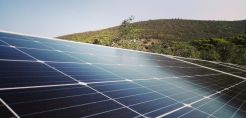 Φωτοβολταϊκά πάνελ Sharp: Η επιλογή της MP-Energy για το 2020