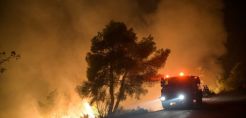 Εύβοια: Χωρίς ρεύμα η περιοχή λόγω της φωτιάς