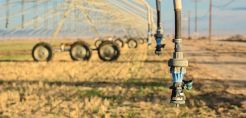 Υπεγράφη ΚΥΑ για τη 10ετή ρύθμιση ληξιπρόθεσμων οφειλών στο αγροτικό ρεύμα, με μηδενικό επιτόκιο