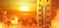 [node:title]
