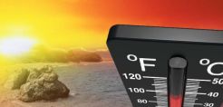 Πράσινες συμβουλές για την αντιμετώπιση του καύσωνα