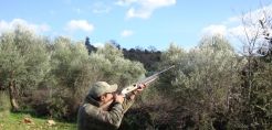 Ζημιές στο δίκτυο της ΔΕΗ στην Πρέβεζα από πυροβολισμούς κυνηγών 