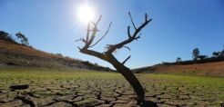 Η κλιματική αλλαγή έχει προκαλέσει μεγάλες απώλειες στην παραγωγή τροφίμων