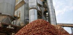 Λύση για εναλλακτική διαχείριση των αποβλήτων ελαιοτριβείων επιδιώκει να δώσει η κυβέρνηση