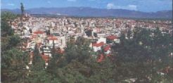 Αντιδράσεις για τη μονάδα παραγωγής ηλεκτρικής ενέργειας από βιορευστά στον Ανθότοπο Κοζάνης