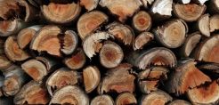 Η ανθρωπότητα έχει καταναλώσει όλους τους πόρους της Γης για το 2015