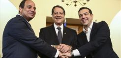 Κ. Ράπτης: Συμπεράσματα από την Διακήρυξη της Λευκωσίας