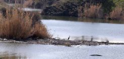 Κομισιόν: Ανεπαρκείς οι περιβαλλοντικές επιδόσεις της Κύπρου