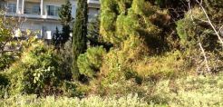 Πράσινο και Ελεύθερος Χώρος το ρέμα Κυβερνείου στη Θεσσαλονίκη με πρωτοβουλία του ΥΠΕΝ