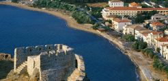 Δεντροφύτευση και καθαρισμοί παραλιών στη Λήμνο