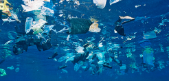 Greenpeace: Η αρχή του τέλους της ρύπανσης των θαλασσών από το πλαστικό;