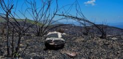 Ανακοίνωση των υπουργείων ΥΠΕΝ, Υγείας και Παιδείας με αφορμή δημοσιεύματα για τις περιβαλλοντικές επιπτώσεις στο Μάτι Αττικής