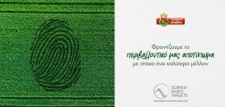 Επικύρωση των στόχων μείωσης εκπομπών CO2 από την παγκόσμια πρωτοβουλία “Science Based Targets” (SBTi) για τη Μπάρμπα Στάθης
